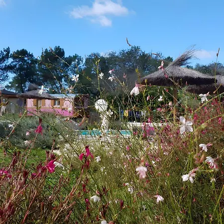 Roulotte Au Bois Chéri - Au Bois Village de vacances *